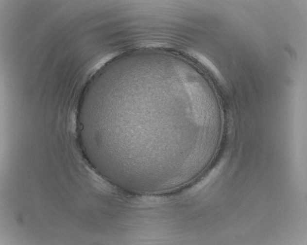 X0000115390777200911241245