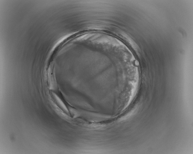 X0000115390779200911241245