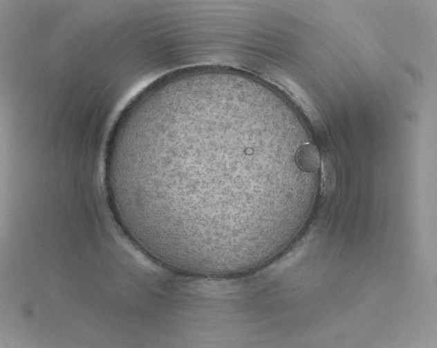 X0000115390780200911241245