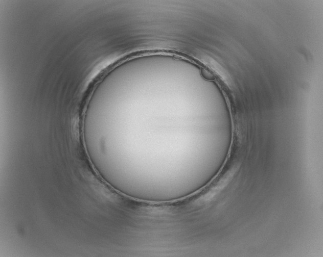 X0000115390781200911241245