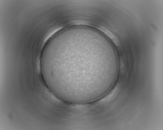 X0000115390782200911241245