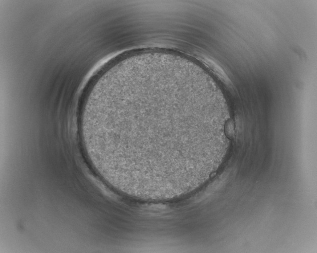 X0000115390784200911241245