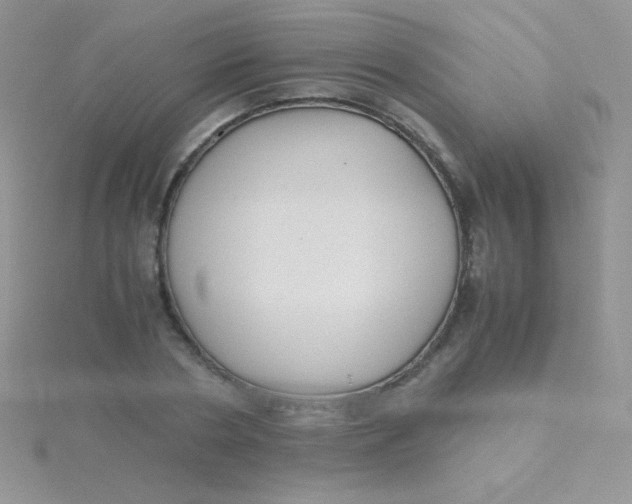 X0000115390786200911241245