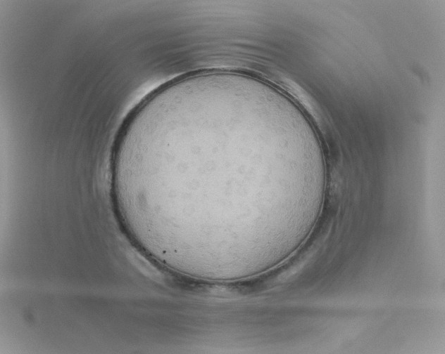 X0000115390787200911241245