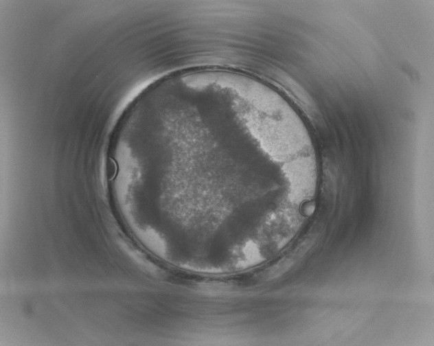 X0000115390788200911241245