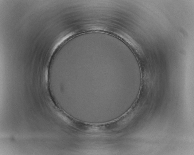 X0000115390790200911241245