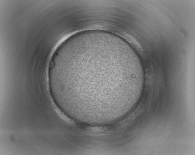 X0000115390792200911241245