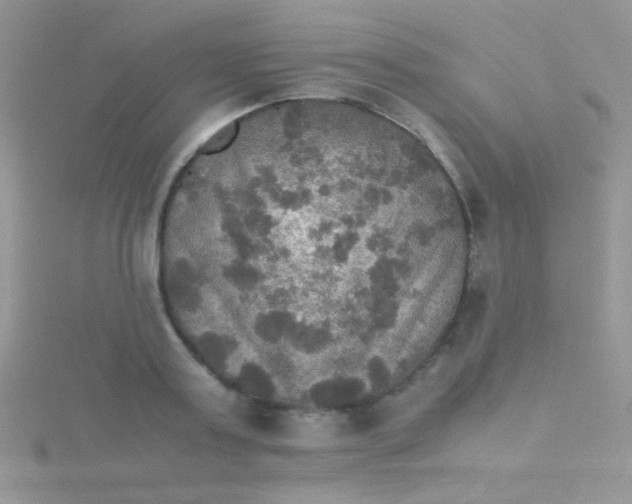 X0000115390795200911241245