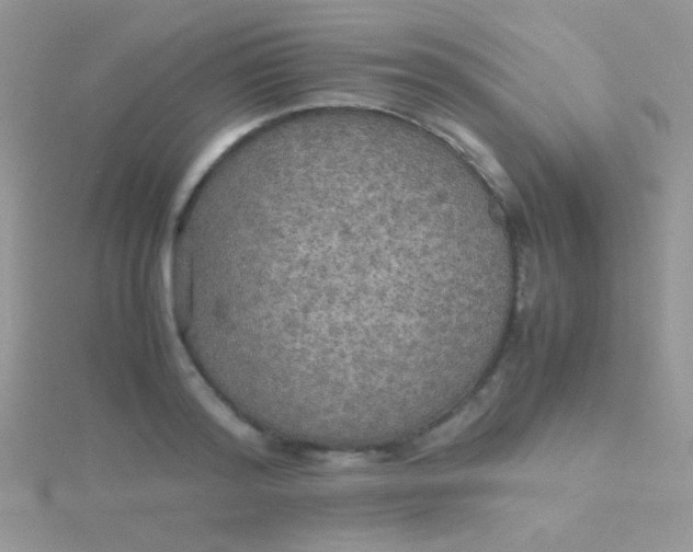 X0000115390796200911241245