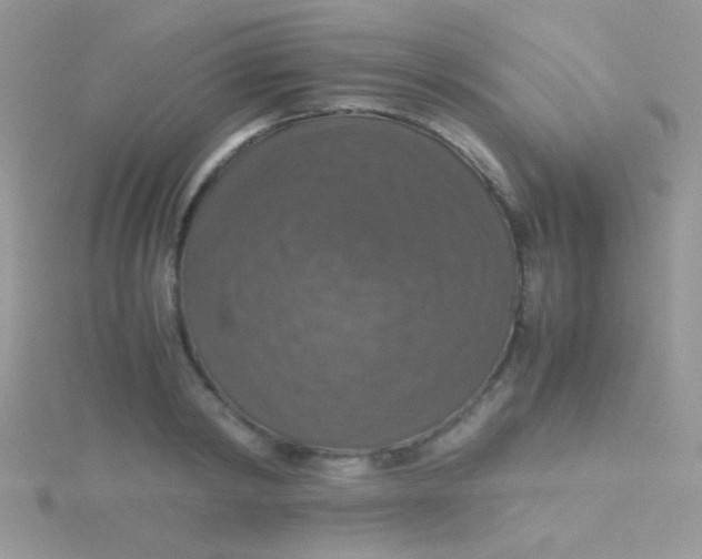 X0000115390798200911241245