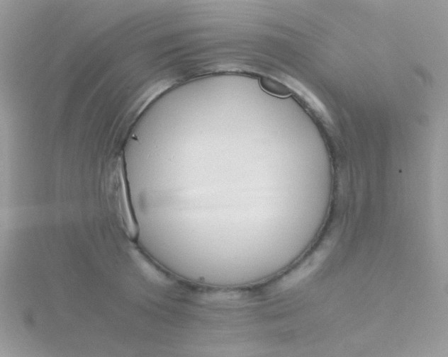 X0000115390801200911241245