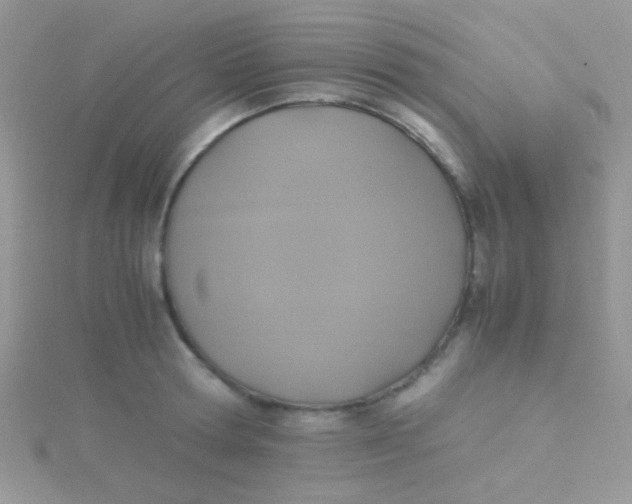 X0000115390802200911241245