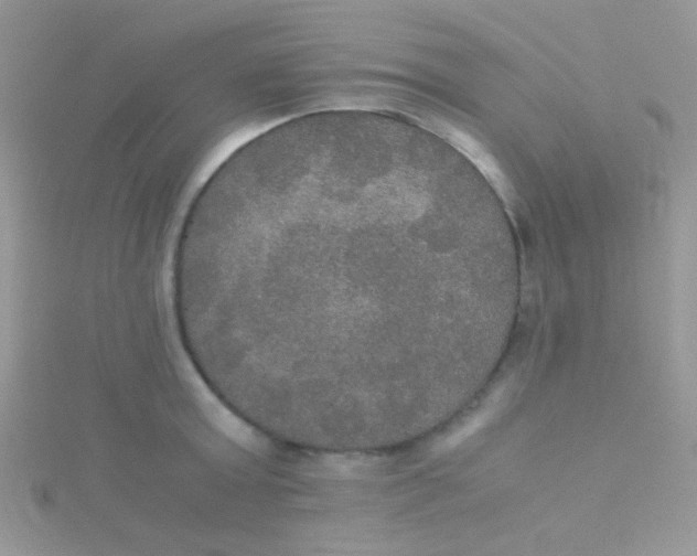 X0000115390803200911241245