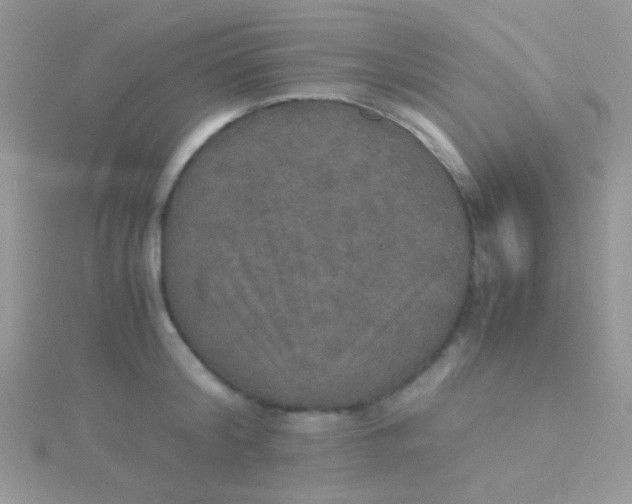 X0000115390804200911241245