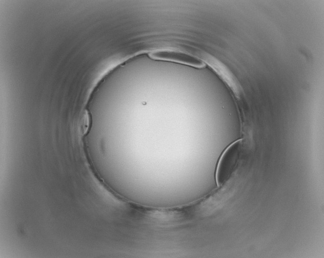 X0000115390805200911241245