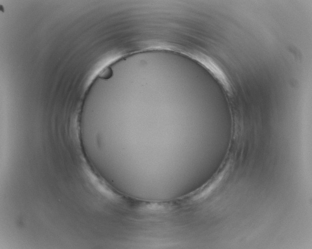 X0000115390806200911241245