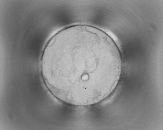 X0000115390807200911241245