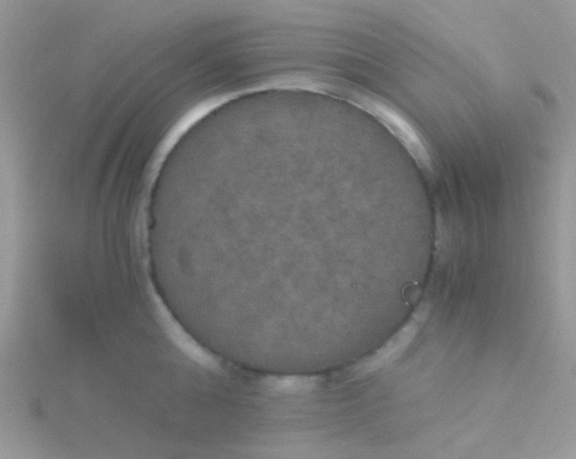 X0000115390808200911241245