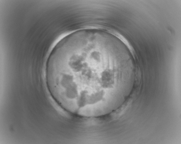 X0000115390811200911241245