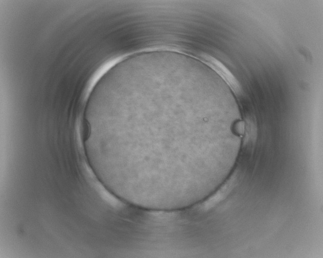 X0000115390812200911241245