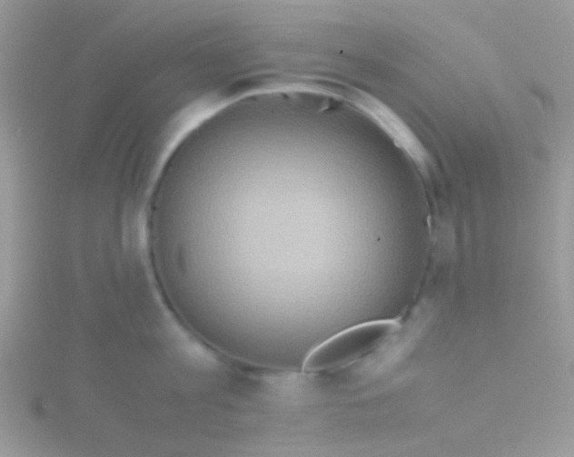 X0000115390813200911241245