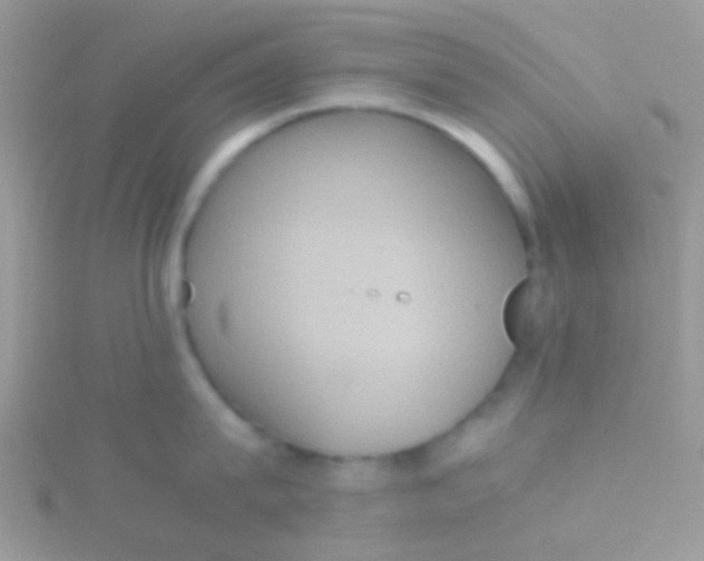 X0000115390815200911241245