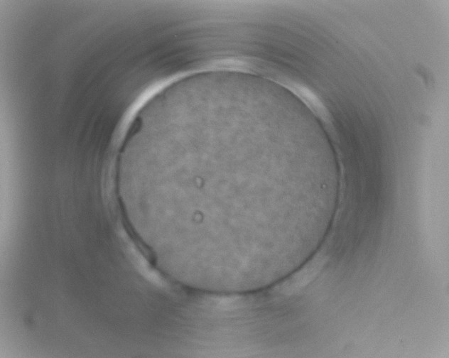 X0000115390816200911241245