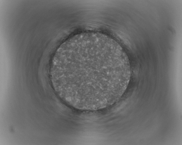 X0000115390817200911241244