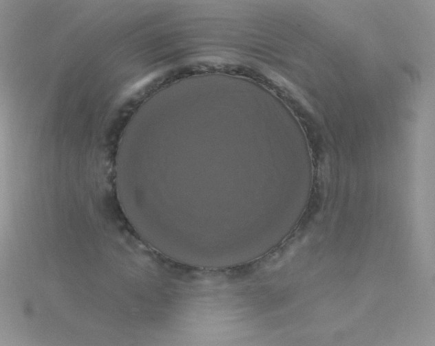 X0000115390822200911241244