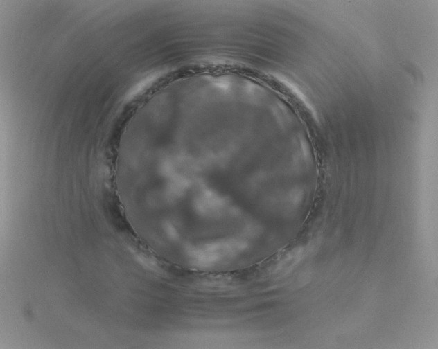 X0000115390823200911241244