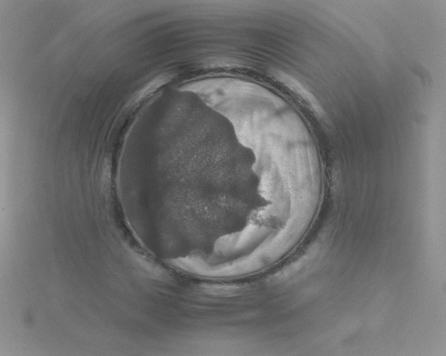 X0000115390825200911241244