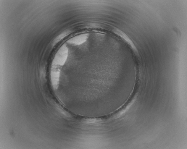 X0000115390826200911241244