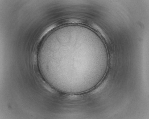 X0000115390827200911241244