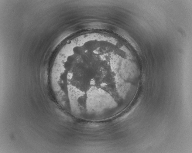 X0000115390829200911241244