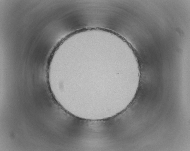 X0000115390832200911241244