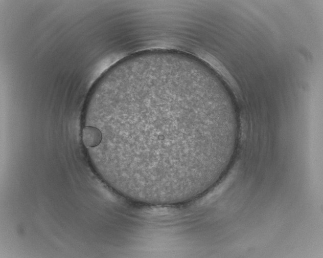 X0000115390834200911241244