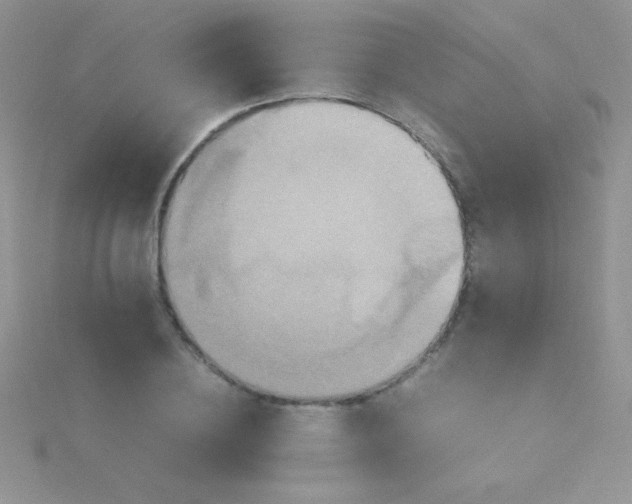 X0000115390836200911241244