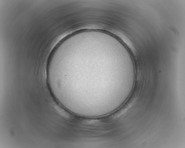 X0000115390837200911241244