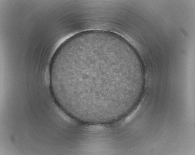 X0000115390838200911241244