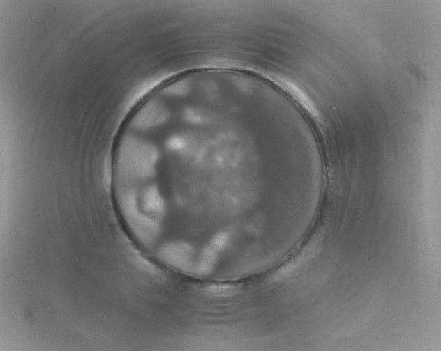 X0000115390839200911241244