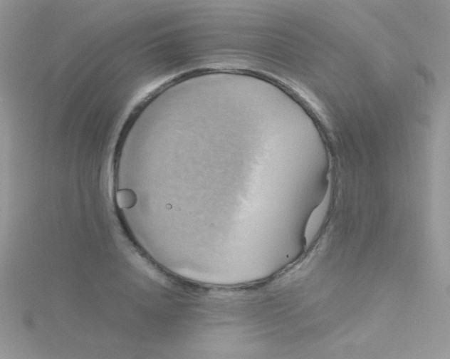 X0000115390840200911241244