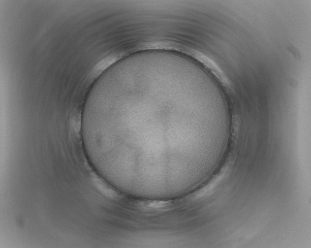 X0000115390841200911241245