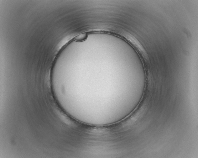 X0000115390842200911241245