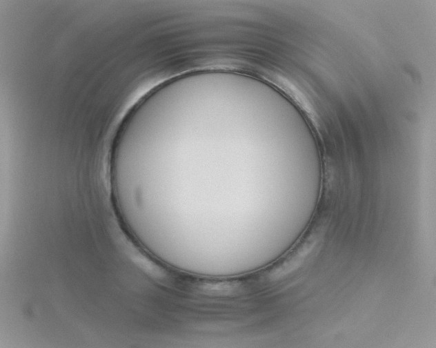 X0000115390843200911241245