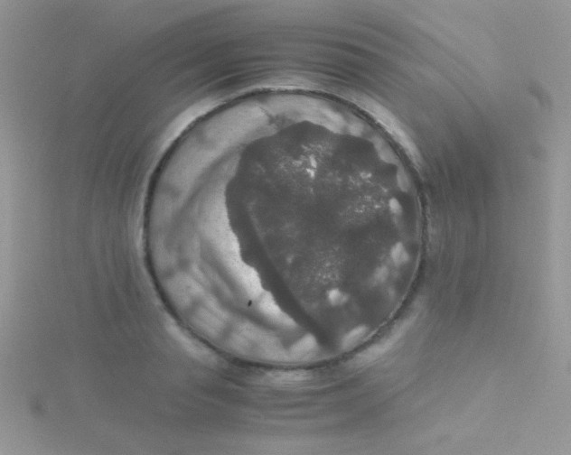 X0000115390845200911241245