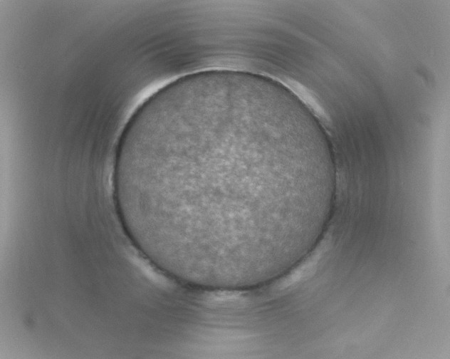 X0000115390846200911241245