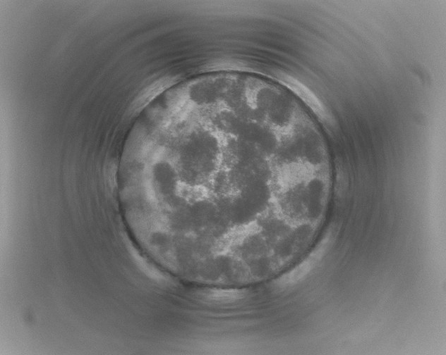 X0000115390849200911241245