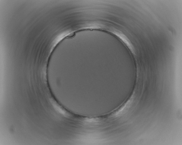 X0000115390850200911241245