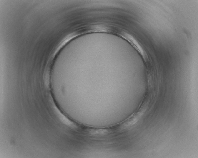 X0000115390851200911241245