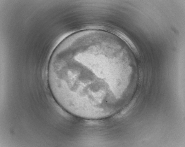 X0000115390852200911241245